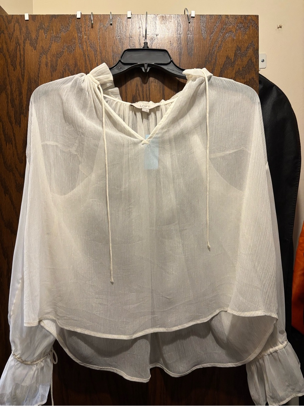 LOFT Ivory Sheer V-Neck Tie-Detail Blouse